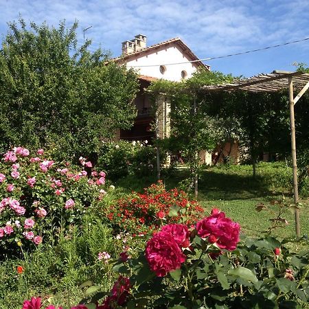 Casa Isabella Vendégház Vaglio Serra Kültér fotó
